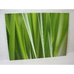 CUADRO PLOTTER GRANDE...