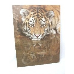 CUADRO PLOTTER GRANDE TIGRE