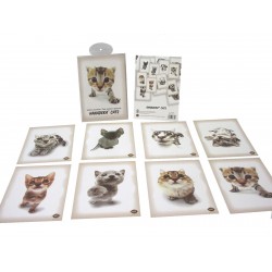 JUEGO 8 POSTALES BLISTER...