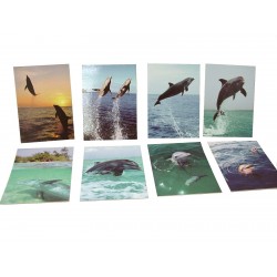 POSTAL SENCILLA DELFINES...