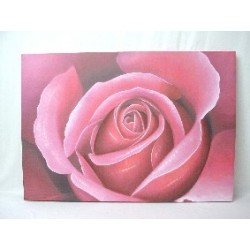 CUADRO LIENZO SUPER ROSA...