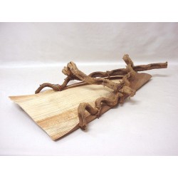 CENTRO COCO RAMAS PLANO...