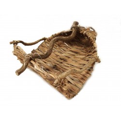 CENTRO RAMAS TRONCO PLANO...