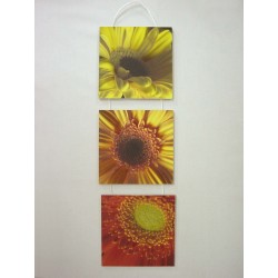 CUADRO TABLA TRIPTICO...