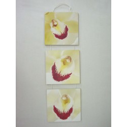 CUADRO TABLA TRIPTICO...