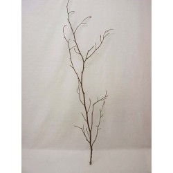 RAMA NATURAL BUCHENLAUB