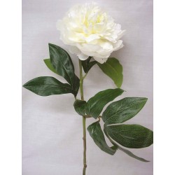 FLOR INDIVIDUAL PEONIA BLANCA