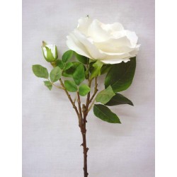 FLOR INDIVIDUAL ROSA...