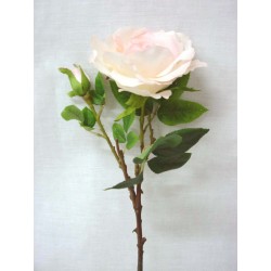 FLOR INDIVIDUAL ROSA...