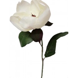 FLOR INDIVIDUAL MAGNOLIA...