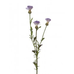 FLOR TRIPLE CENTAURAL VIOLETA