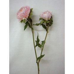 FLOR DOBLE ASTER DAISY VIOLETA