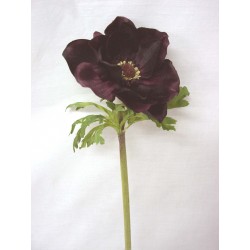 FLOR INDIVIDUAL ANEUNOME MALVA