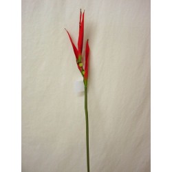 FLOR INDIVIDUAL AVE DEL...