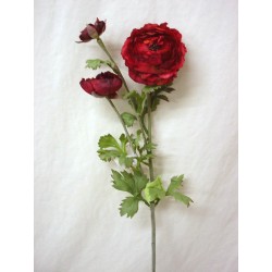 FLOR TRIPLE RANUNCULO GRANATE