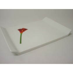 BANDEJA SUSHI MEDIANA CALA...