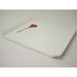 BANDEJA SUSHI PEQUEÑA CALA...