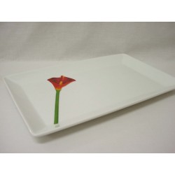 BANDEJA RECTANGULAR...