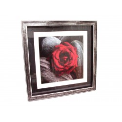 CUADRO MARCO FLOR HOJA...