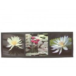 CUADRO TABLA HORIZONTAL...