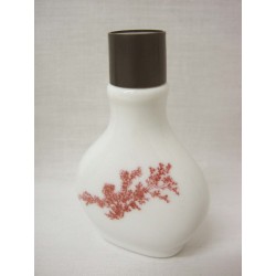 BOTELLA MINI SIN ASA...