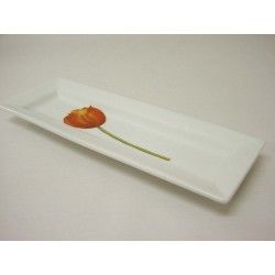 BANDEJA BAÑO ALARGADA...