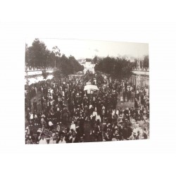 CUADRO TABLA PEQUEÑO AVILES...