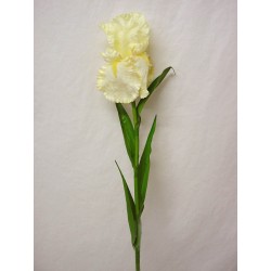 FLOR INDIVIDUAL IRIS SATIN...