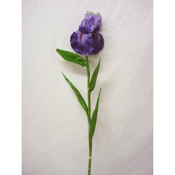 FLOR INDIVIDUAL IRIS SATIN...