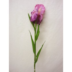 FLOR INDIVIDUAL IRIS SATIN...