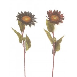 FLOR TELA GIRASOL SURTIDO