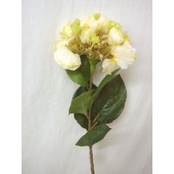 FLOR INDIVIDUAL HORTENSIA...