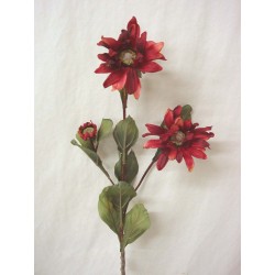 FLOR TRIPLE MARGARITA...