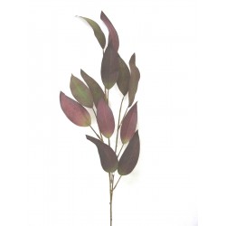 RAMA HOJAS EUCALIPTO BURGUNDY