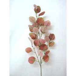 RAMA HOJAS EUCALIPTO VIOLETA