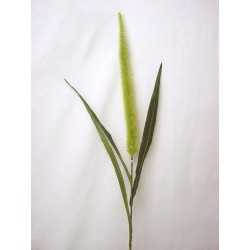 FLOR INDIVIDUAL PLUMERO VERDE