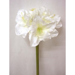 FLOR INDIVIDUAL AMARILYS...