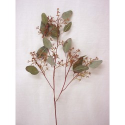 RAMA EUCALIPTO HOJAS VERDE...