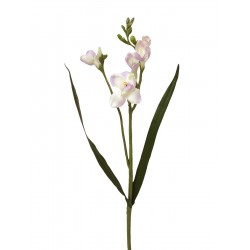 RAMA FLOR VIOLETAS HOJAS...