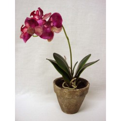 MACETA CON FLOR ORQUIDEA...