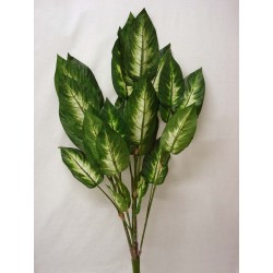 PLANTA HOJAS DIEFFEMBACHIA...