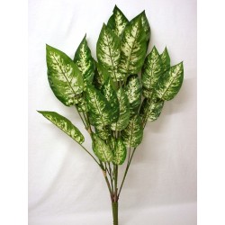 PLANTA HOJAS DIEFFEMBACHIA...