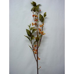 RAMA HOJAS FRUTOS BERRY...