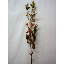 RAMA HOJAS FRUTOS BERRY ROJO