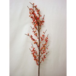 FLOR VARA FRUTOS HOLLY NARANJA