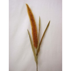 FLOR RAMA FROTH GRASS DORADO