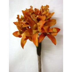 FLOR INDIVIDUAL CYMBIDIUM...