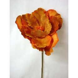 FLOR INDIVIDUAL PAPAVERO...