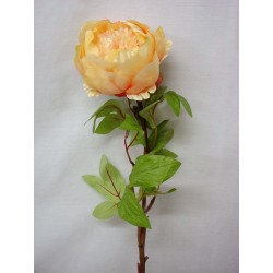 FLOR INDIVIDUAL PEONIA...