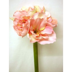 FLOR INDIVIDUAL AMARILYS ROSA